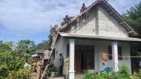 Jumlah kerusakan rumah akibat hujan deras disertai angin kencang di Dusun Gambar Anyar Desa Sumber Asri Kecamatan Nglegok Kabupaten Blitar terus bertambah. Terakhir dilaporkan ada 42 rumah dan sebuah pabrik mengalami kerusakan.