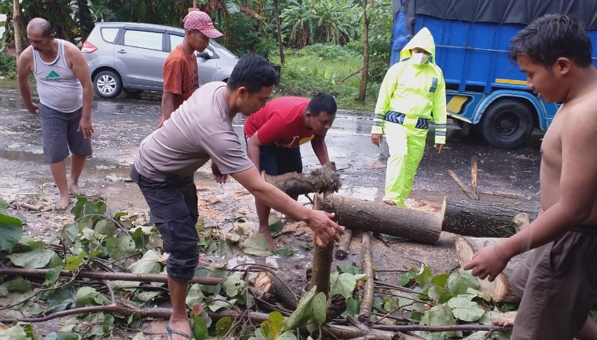 Sekira pukul 15.00 wib Cuaca di wilayah Srengat siang ini cuaca hujan deras dan disertai angin kencang bersahabat sehingga mengakibatkan pohon tumbang di jalan Raya Desa Pakisrejo Kec. Srengat Kab Blitar.