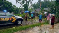 Bersama Warga Masyarakat Anggota Polsek Wonodadi Evakuasi Pohon Tumbang Di Jalan Desa Kunir