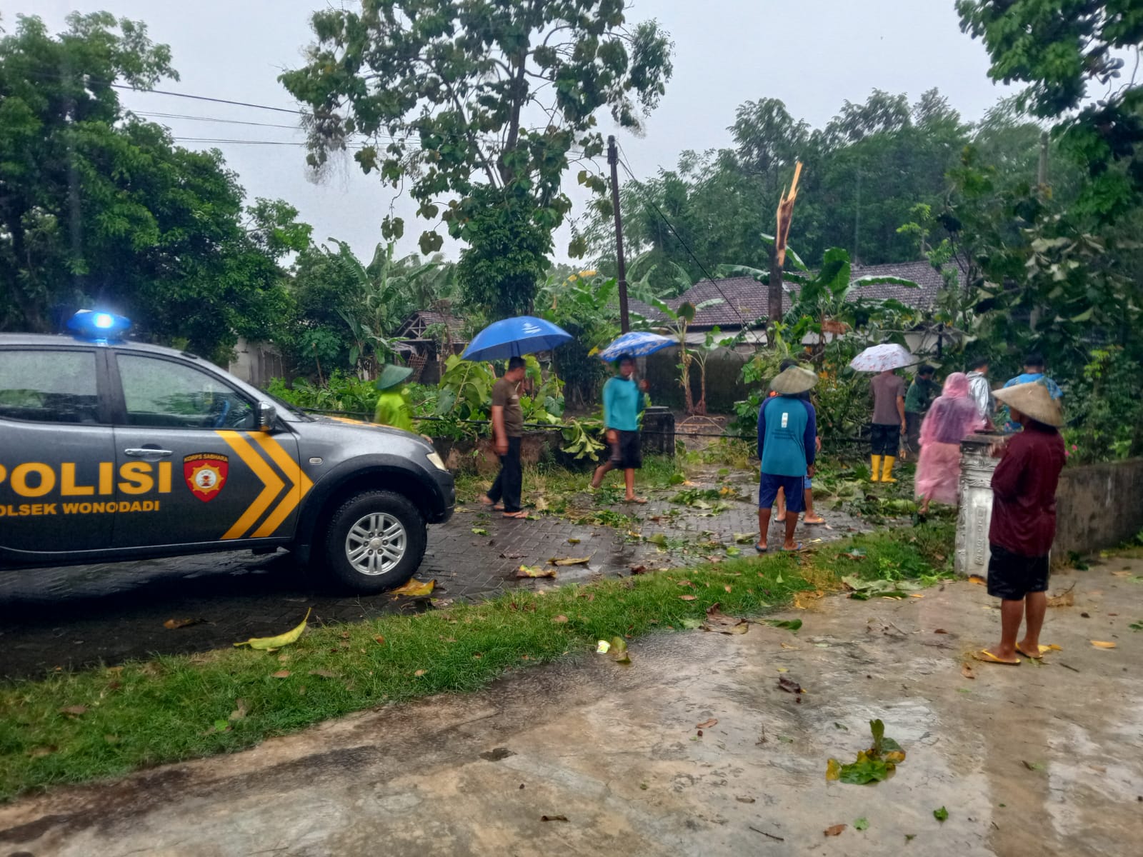 Bersama Warga Masyarakat Anggota Polsek Wonodadi Evakuasi Pohon Tumbang Di Jalan Desa Kunir