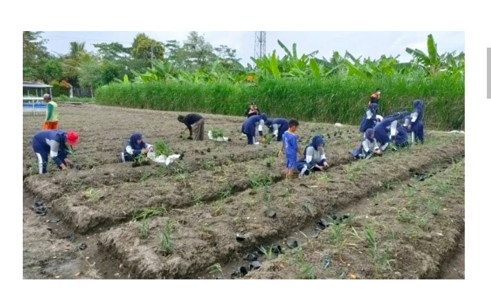 Terobosan Desa Purworejo Jaga Kebersamaan Hingga Memanfaatkan Lahan Pertanian di desanya