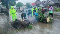 EVAKUASI POHON TUMBANG POLSEK SRENGAT BERSAMA WARGA