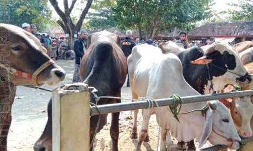 Pemkot Blitar Dirikan Posko Siaga PMK di Pasar Hewan