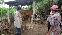 Patroli Edukasi, Polsek Wonodadi Cegah Penyebaran PMK Pada Pemilik Hewan Ternak