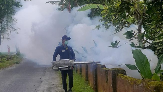 Musim Penghujan, Puluhan Warga Terserang Demam Berdarah